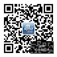 战队逆转胜,英雄联盟再,燃战火,开云官网,开云体育,官方入口,开云娱乐,体育资讯